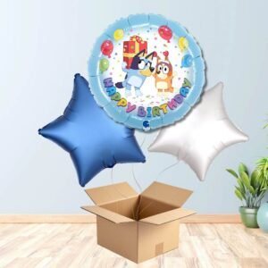 Bluey Birthday Balloon Bouquet