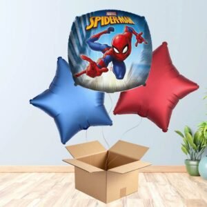 Spiderman Balloon Bouquet